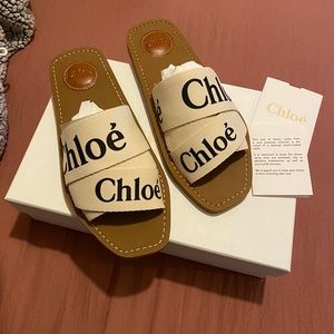 Chloe Woody slides